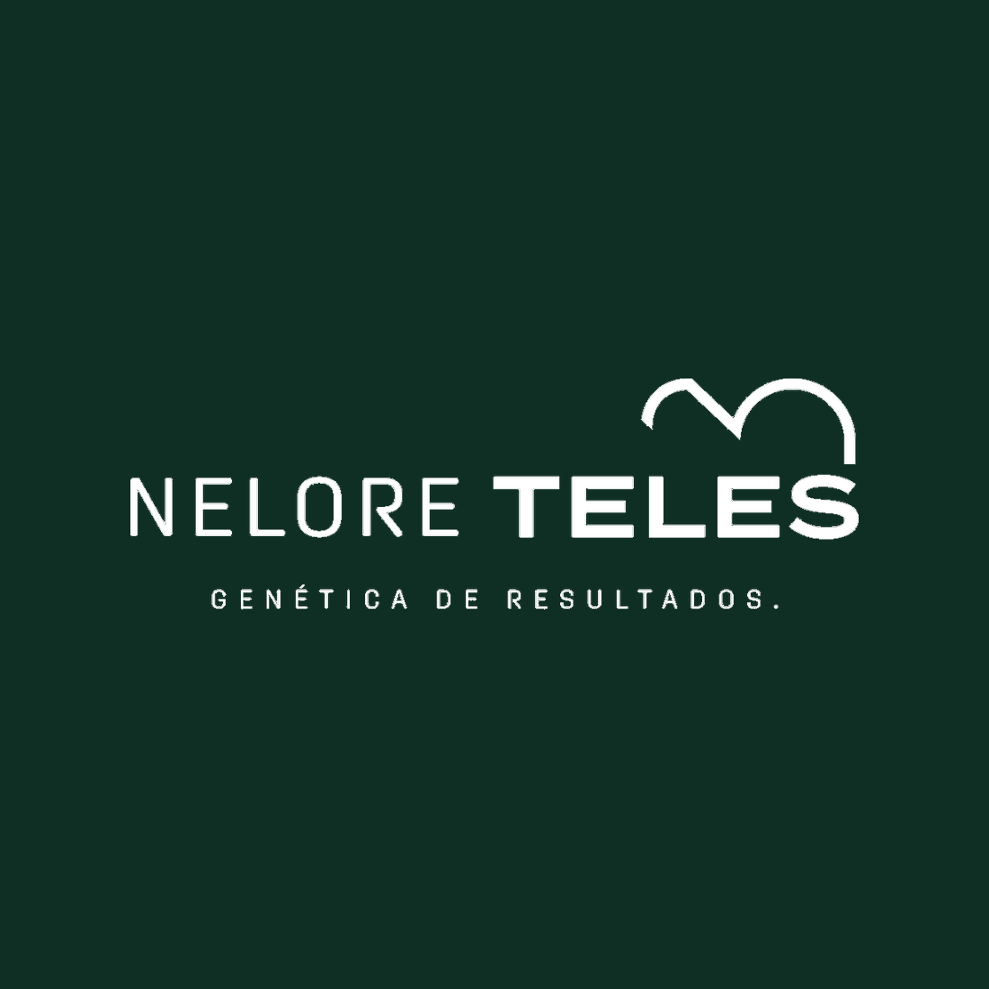 Nelore Teles: variações de cores da marca